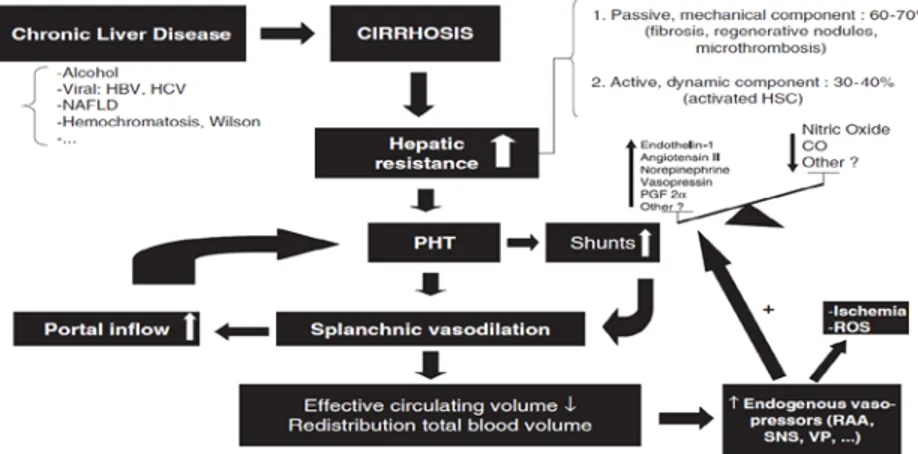 Gambar 2.1 Patogenesis Hipertensi Portal  2.2.3 Epidemiologi 