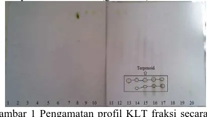 Gambar 1 Pengamatan profil KLT fraksi secara  visual setelah disemprot vanillin-