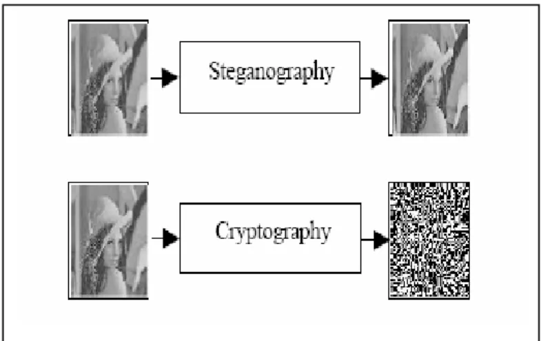 Gambar 2.1. Perbedaan steganografi dengan kriptografi 