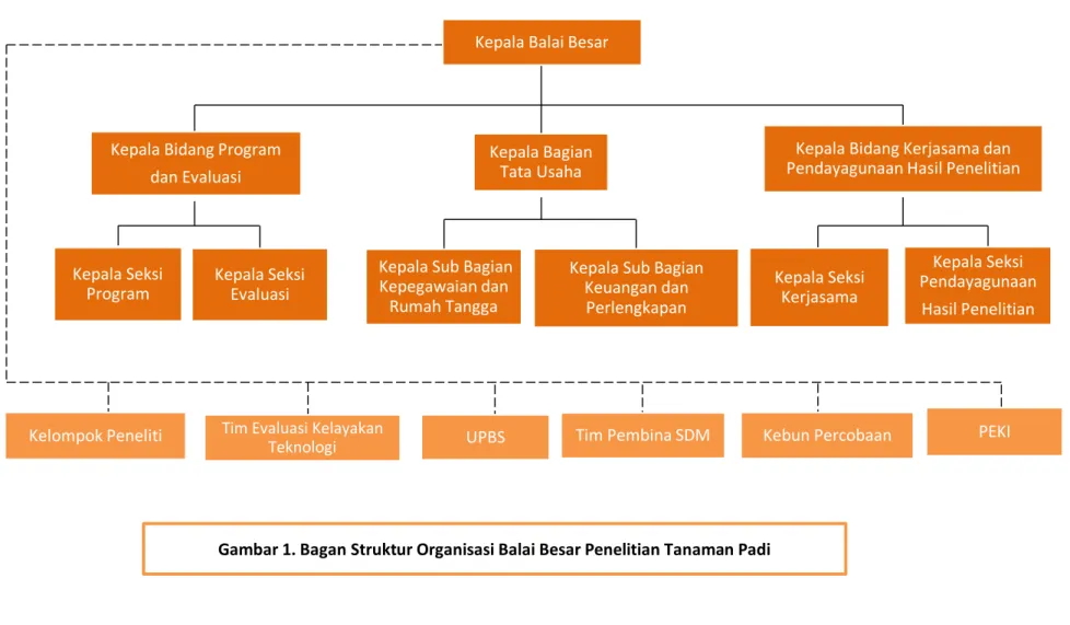 Gambar 1. Bagan Struktur Organisasi Balai Besar Penelitian Tanaman Padi  