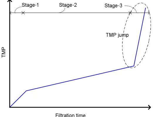 Figure 5. Illustrations of a typical TMP-profile for long-term MBR operation. The circle highlights 