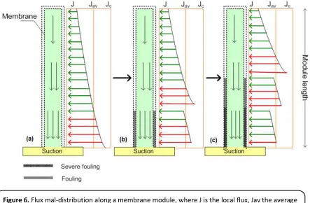 Figure 6. Flux mal-distribution along a membrane module, where J is the local flux, Jav the average 