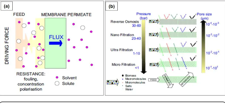 Figure 1. (a) Basic scheme of a membrane filtration process and (b) Schematic illustration of 