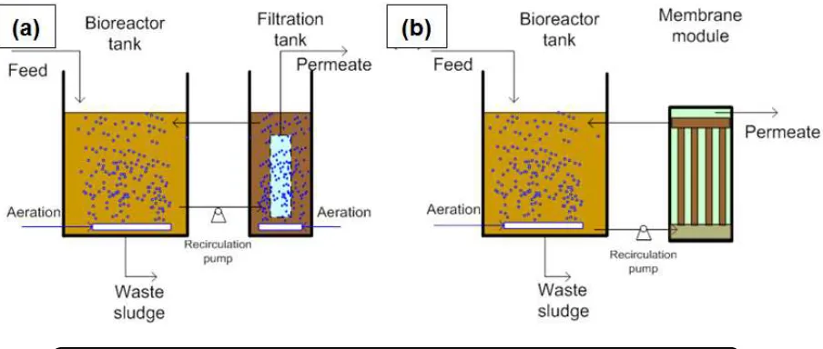 Figure 3. Schematic illustration of (a) a submerged MBR and (b) a side stream MBR. 