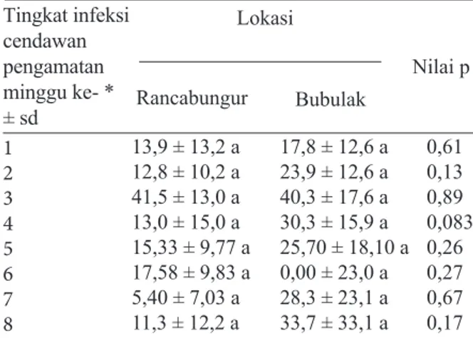 Tabel 3.  Persentase tingkat infeksi cendawan Entomo- Entomo-phthorales pada Pacoccus marginatus  di  wilayah Rancabungur dan Bubulak