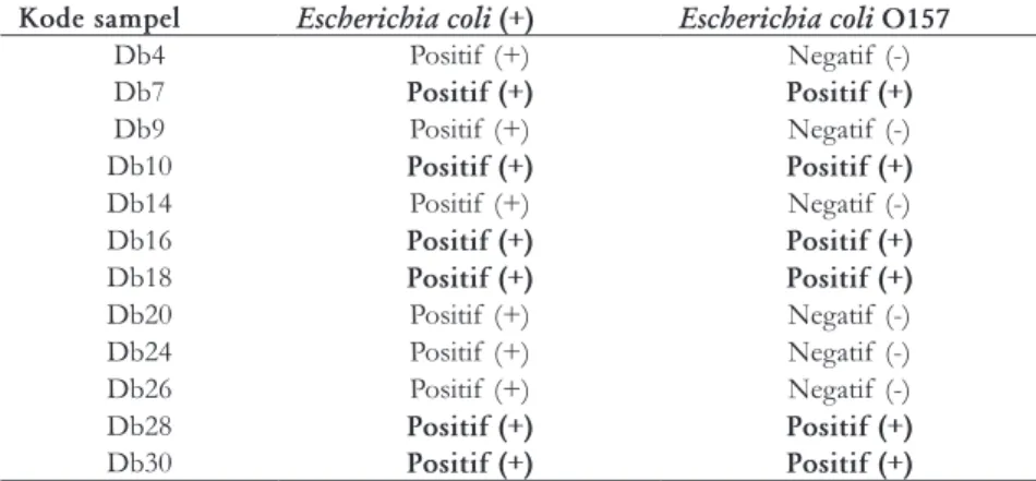 Tabel 3. Hasil isolasi Escherichia coli O157 berasal dari daging babi setelah  dilakukan uji konfirmasi dengan uji singlepath