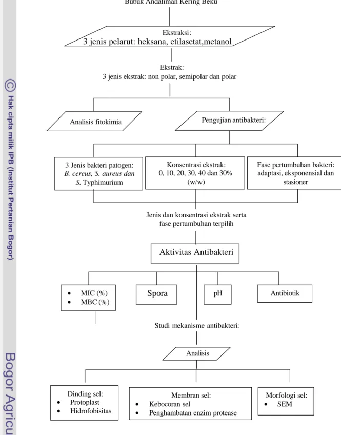 Gambar 3.1 Diagram  Alir Pelaksanaan Penelitian Bubuk Andaliman Kering Beku 