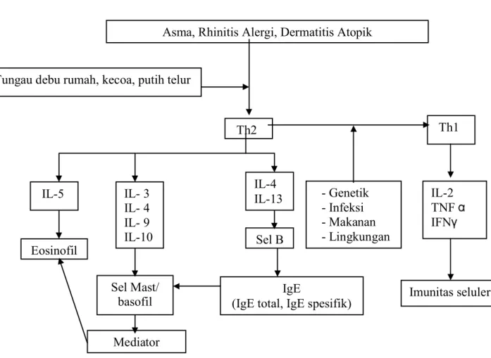 Gambar 4. Hubungan antara Asma, Rinitis alergik dengan Imunoglobulin E spesifik 