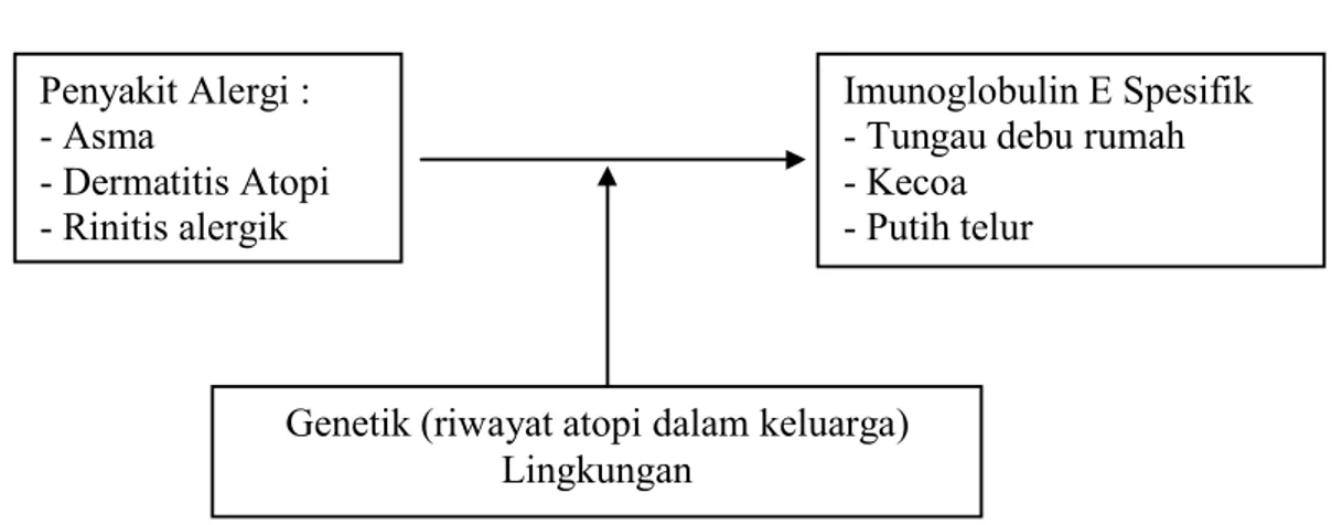 Gambar  5.  Hubungan  antara  Asma,  Rinitis  alergik,  Dermatitis  Atopik  dengan  Imunoglobulin E spesifik dan variabel perancu adalah genetik dan lingkungan