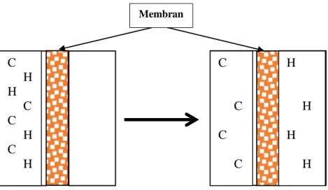 Gambar 2.2. Proses kerja membran (material A pindah ke B)  (Mulder, 1996) C       H H      C C      H   C      H  C          C C       C    H          H H       H   Membran A BA B 