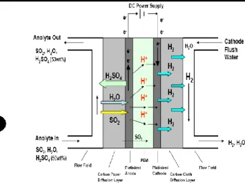Gambar 3. Skema Operasi Elektrolisis  Campuran H 2 O dan SO 2 [8,9]