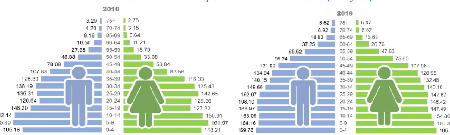 Gambar 1.29.  Komposisi Penduduk Menurut Kabupaten/Kota Di Provinsi Papua Tahun 2019 (%)Perkembangan penduduk di Provinsi Papua 