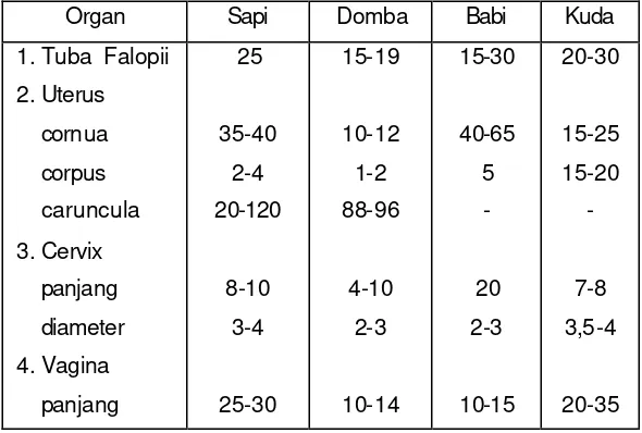 Tabel 1 Perbandingan ukuran organ reproduksi sapi, domba, babi dan kuda 
