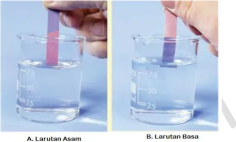 Gambar 4.5 Perubahan Warna Indikator Lakmus Biru dalam Asam (A) dan   Lakmus Merah dalam basa (B) 