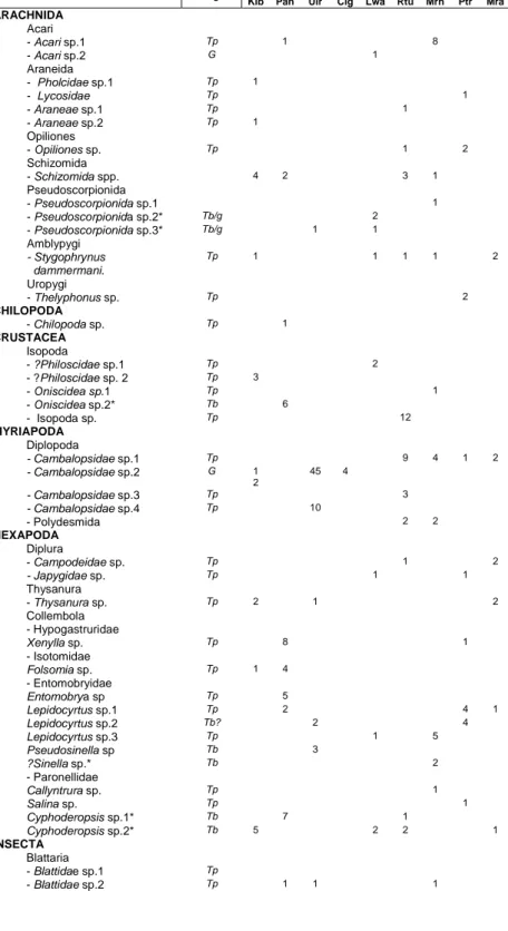 Tabel 2. Daftar jenis Arthropoda di gua-gua Nusakambangan (jumlah spesimen). 