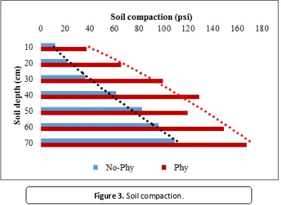 Figure 3. Soil compaction. 
