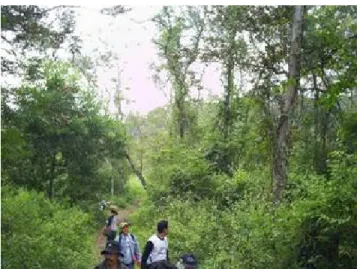 Gambar 1. Hutan Sekunder Bunder 