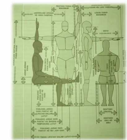 Gambar 2.2. Berbagai ukuran tubuh manusia yang paling sering digunakan oleh perancang interior (Sumber: Panero, 2003)