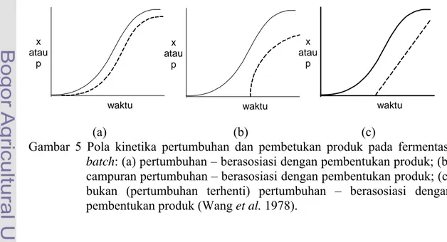 Gambar 5 Pola kinetika pertumbuhan dan pembetukan produk pada fermentasi  batch: (a) pertumbuhan – berasosiasi dengan pembentukan produk; (b)  campuran pertumbuhan – berasosiasi dengan pembentukan produk; (c)  bukan (pertumbuhan terhenti) pertumbuhan – ber