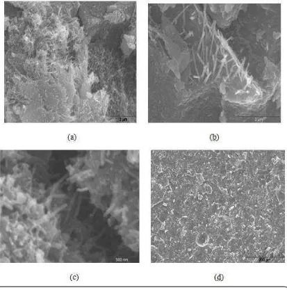 Figure 12. Typical SEM images of high-performance pastes reinforced with 0.24% (by 
