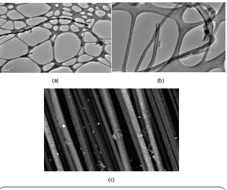 Figure 1. Microscope images of carbon nanofibers and microfibers: (a) TEM micrograph of non-functionalized nanofibers with 60-150 nm outer diameter and lengths up to 100 µm; (b) TEM micrograh of oxidized nanofibers with 60-150 nm outer diameter and lengths