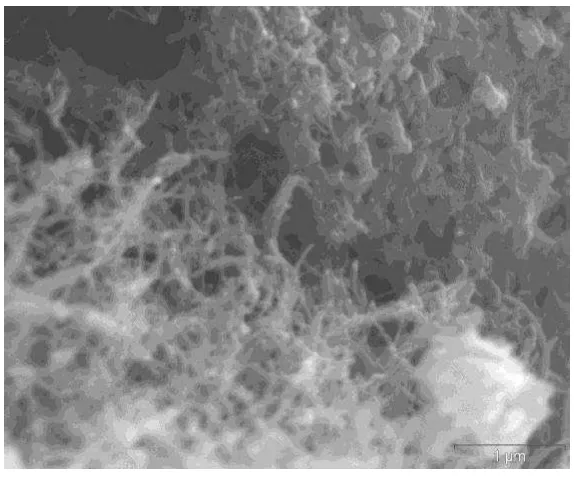 Figure 7. Mean values and standard errors of the compressive strength test results for high-performance cementitious paste reinforced with 0 and 0.24% (by volume of cement plus silica fume) of non-functionalized and acid-functionalized carbon nanofibers