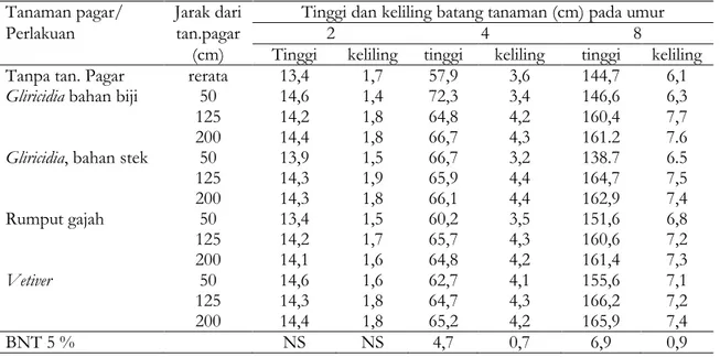 Tabel 1. Pertumbuhan tanaman jagung pada berbagai jarak dari tanaman pagar pada berbagai macam perlakuan (Jagung 1, musim hujan)