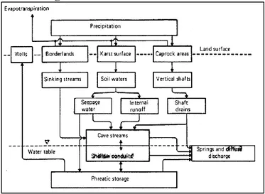 Gambar 2.8 Sistem aliran internal pada akuifer karst (White, 1968) 