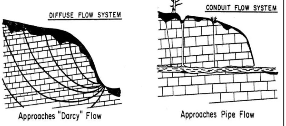 Gambar 2.9 Sistem aliran conduit vs sistem aliran diffuse (White, 1988)  Pada mulanya aliran yang bersifat diffuse lebih dominan melalui fissure/ 