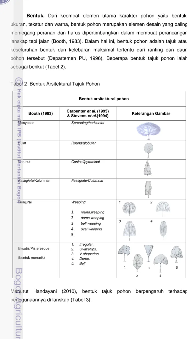 Tabel 2  Bentuk Arsitektural Tajuk Pohon