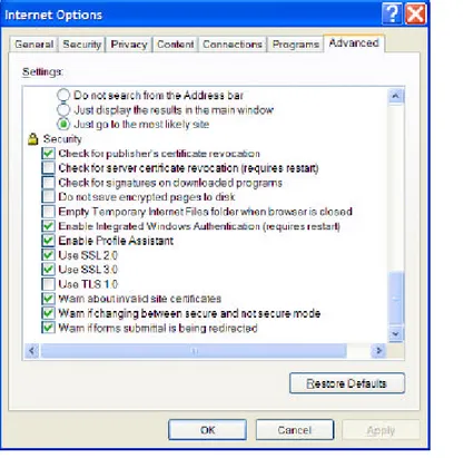 Gambar 14.6 Opsi penggunaan SSL pada fitur security di dalam Internet Explorer. 