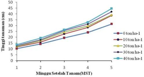 Gambar 1. Pertumbuhan tinggi tanaman okra pada umur 1 sampai 5 MST 