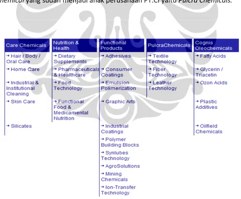 Gambar 3.1  Strategic Business Unit PT.CI (Global)  Sumber: data perusahaan. 