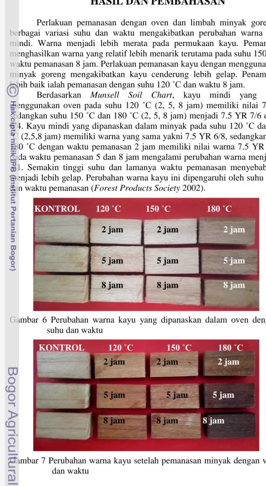 Ketahanan Kayu Mindi Melia Azedarach L Dari Rayap Kayu Kering