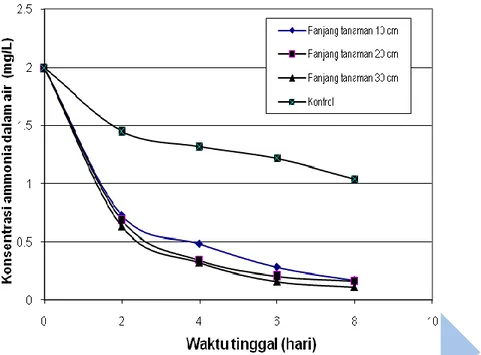 Gambar  1.  Pengaruh  waktu  tinggal  terhadap  pengurangan  konsentrasi  ammonia  dalam  air  (Jumlah  tanaman 4 batang, T = 30 o C, konsentrasi awal ammonia 2 mg/L)