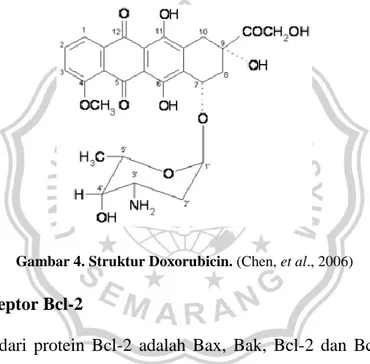 Gambar 4. Struktur Doxorubicin. (Chen, et al., 2006) 