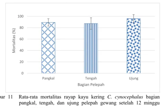 Gambar  11    Rata-rata  mortalitas  rayap  kayu  kering  C.  cynocephalus  bagian  pangkal,  tengah,  dan  ujung  pelepah  gewang  setelah  12  minggu  pengumpanan 