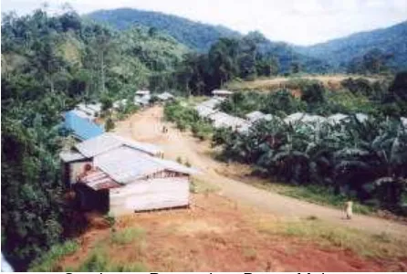 Gambar 7  Perumahan Dusun Muluy 