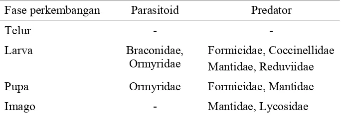 Tabel 4  Parasitoid dan predator yang menyerang lalat C. connexa pada masing-masing fase perkembangan 