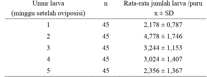 Tabel 5  Rata-rata jumlah larva/puru  berumur 1-5 minggu sesudah oviposisi.   