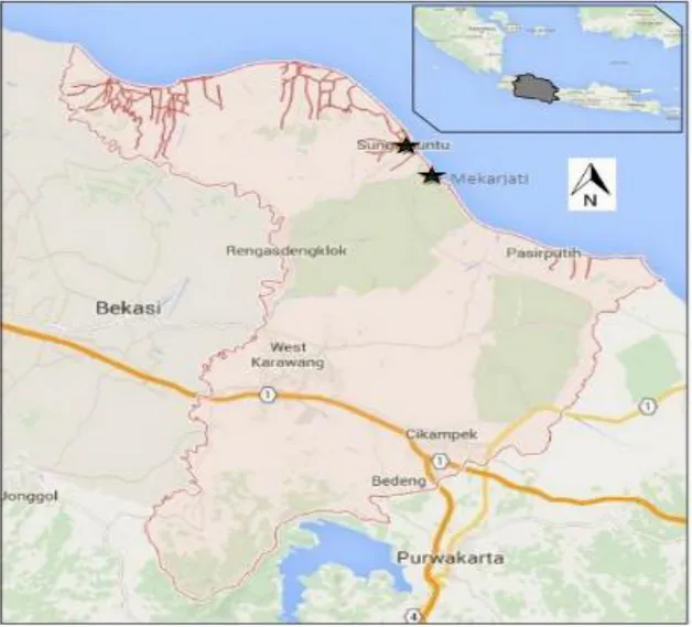 Gambar 1. Peta lokasi penelitian di Dusun Mekarjati dan Dusun Sungai Buntu Kab. Karawang  (Google©, 2016) 