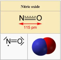 Gambar 2.1 Molekul Nitric oxide (NO) (Hala et al., 2011) 