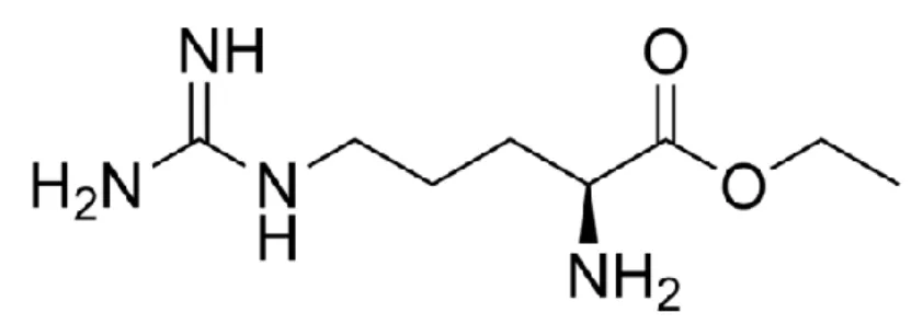 Gambar 2.5 Struktur Kimia L-Arginine 