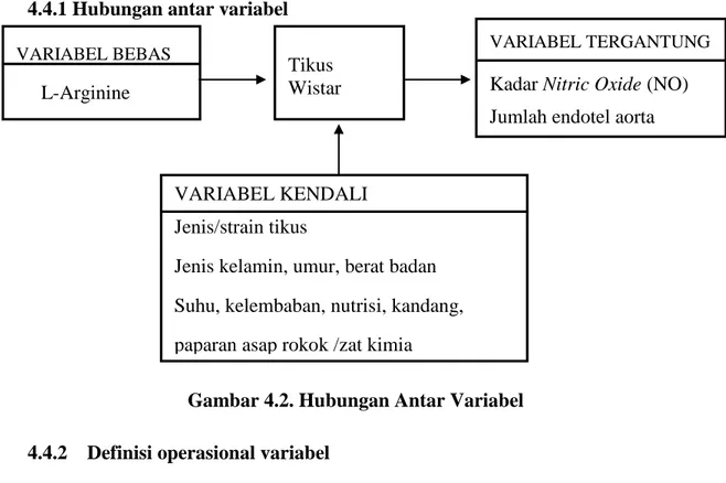 Gambar 4.2. Hubungan Antar Variabel  4.4.2  Definisi operasional variabel 