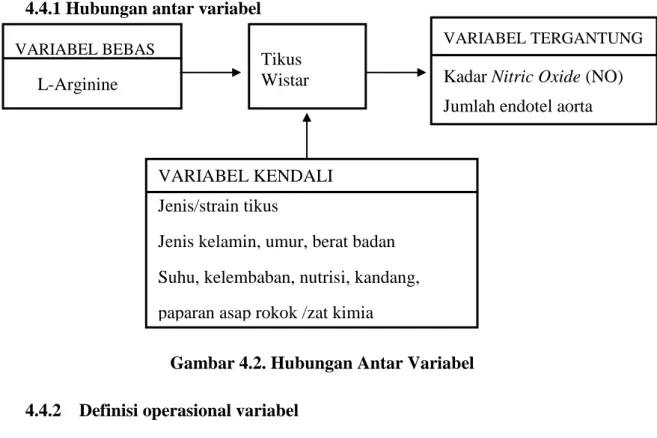 Gambar 4.2. Hubungan Antar Variabel  4.4.2  Definisi operasional variabel 