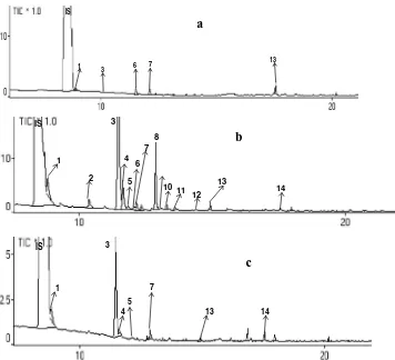 Figure 3. Total ion chromatogram of blood plasma sample after inhalation of nutmeg oil