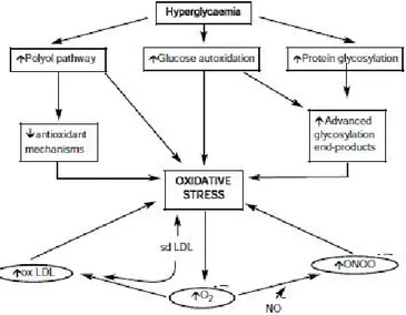 Gambar 2.3 Patogenesis Stres Oksidatif Pada Diabetes Melitus (Ahmed, 2005)