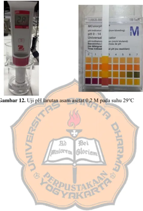 Gambar 12. Uji pH larutan asam asetat 0,2 M pada suhu 29℃ 