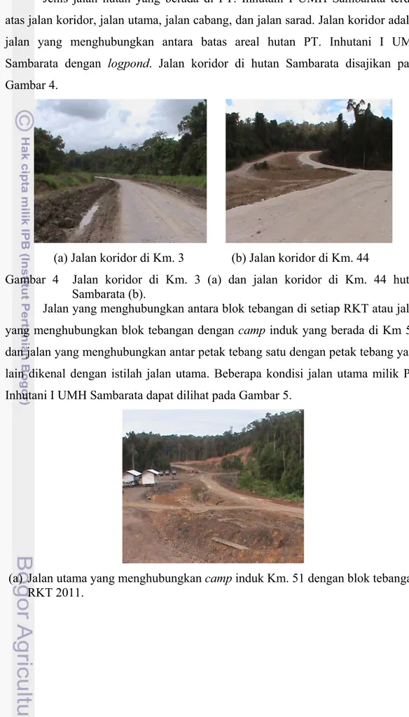 Gambar 4  Jalan koridor di Km. 3 (a) dan jalan koridor di Km. 44 hutan  Sambarata (b)