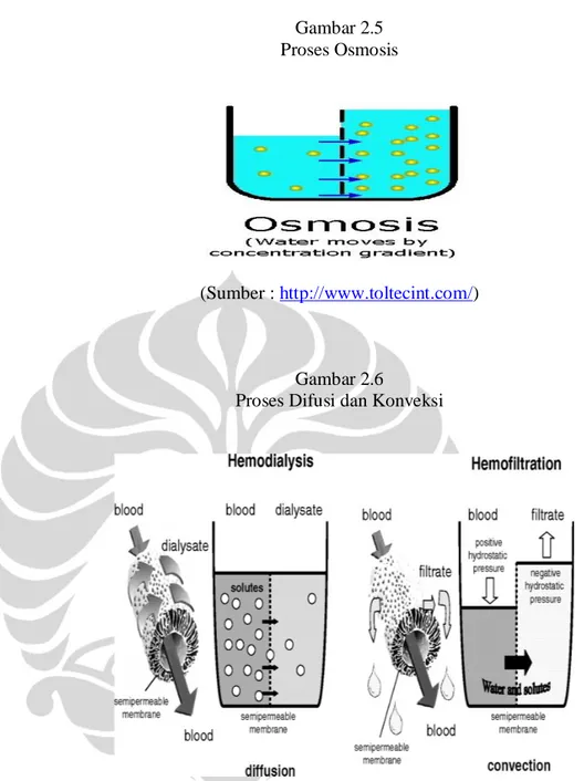 Gambar 2.5  Proses Osmosis 